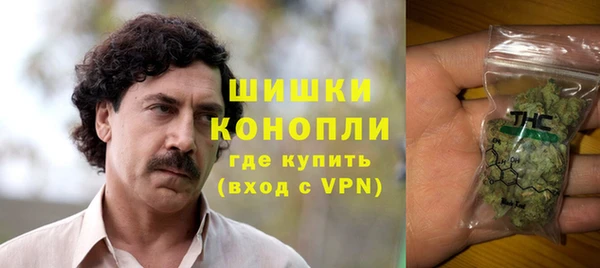 ГАЛЛЮЦИНОГЕННЫЕ ГРИБЫ Беломорск