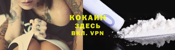 ГАЛЛЮЦИНОГЕННЫЕ ГРИБЫ Беломорск