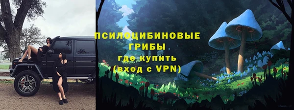 ГАЛЛЮЦИНОГЕННЫЕ ГРИБЫ Беломорск