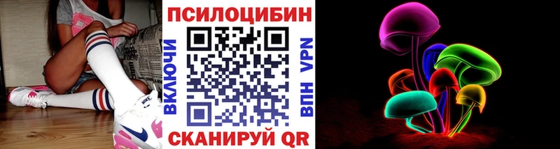 где купить наркоту  Жердевка  Псилоцибиновые грибы ЛСД 