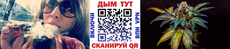 Марихуана сатива Жердевка